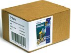  Epson 100mmx150mm Premium Glossy Photo Paper, 500.